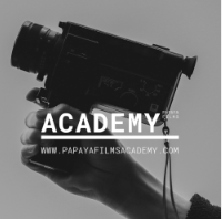 Papaya Films Academy