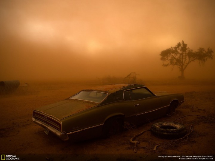 „Thunderbird in the Dust” (fot. Nicholas Moir)