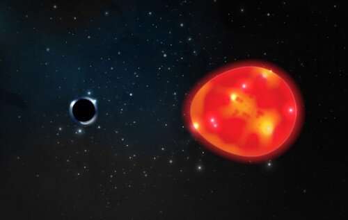 czarna dziura i gwiazda, źródło: Ohio State University/ Lauren Fanfer